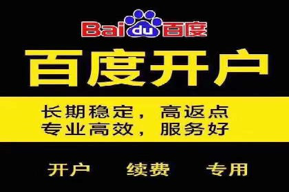 百度推广运营实战技巧：案例教学与解析